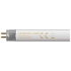 FTT514SPDYLT - Fluorescent T5 Triphosphor High Efficiency (HE) 14W 240V 6400K G5