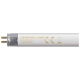 FT2113W - Fluorescent T5 Halophosphate 13W 3500K G5