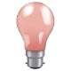 GLS_Colourglaze-INC-25W-Pink-BC-25PIBC-GLZ