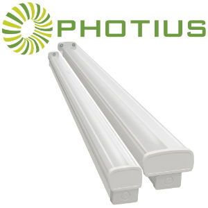 Phoebe LED Photius