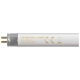 FTT524SPDYLT - Fluorescent T5 Triphosphor High Output (HO) 24W 240V 6400K G5