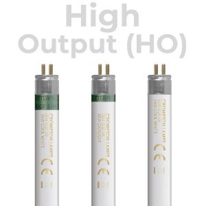 High Output HO